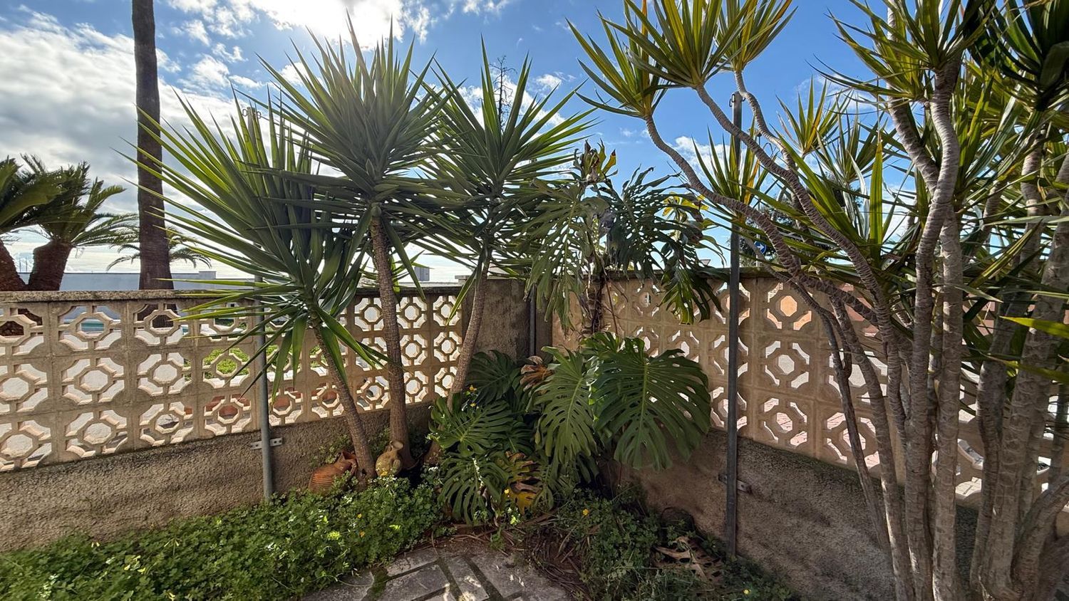 en Venta en Calle de Santaella 2 - Imagen 3